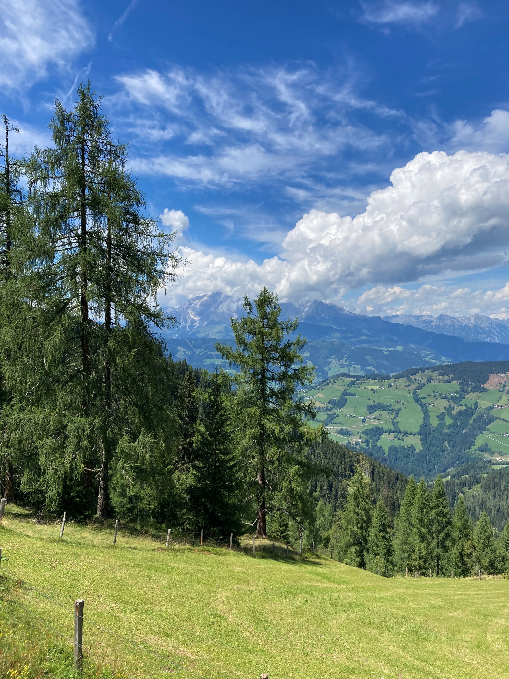 Foto mit Wiese und Bergen