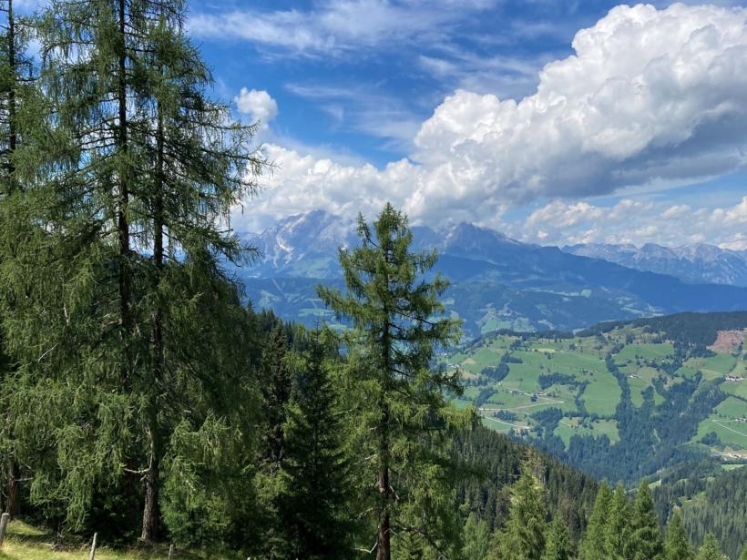 Foto mit Wiese und Bergen